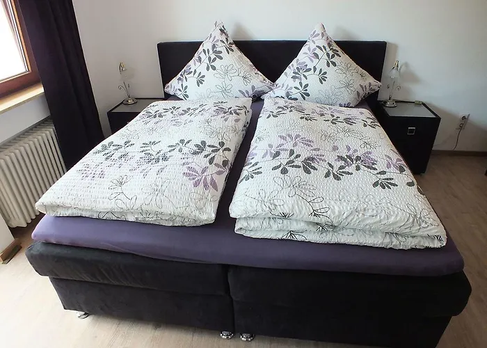 Gaestehaus Mueller Pensionat 3*